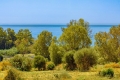 20-d1f7658cbe4ba6cd8666fec30fba80ad.jpg